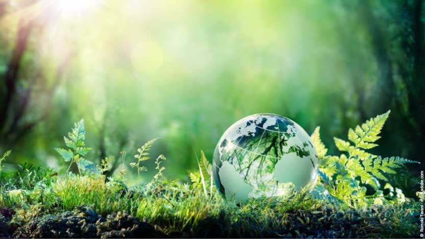 Klimaschutz und Wirtschaftswachstum: Eine Weltkugel aus Glas liegt am Boden eines grünen Waldes und wird von der Sonne bestrahlt.